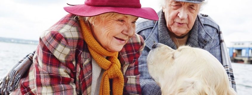 pets for the elderly