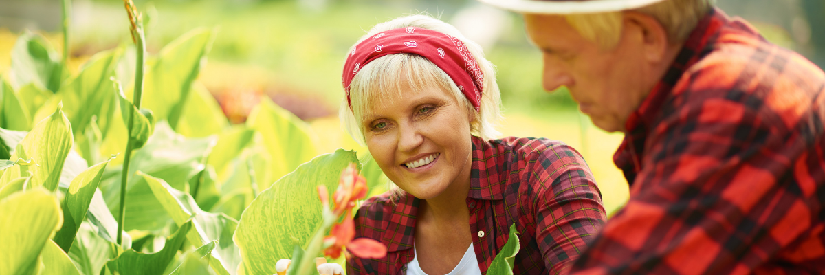 Gardening for seniors and caregivers