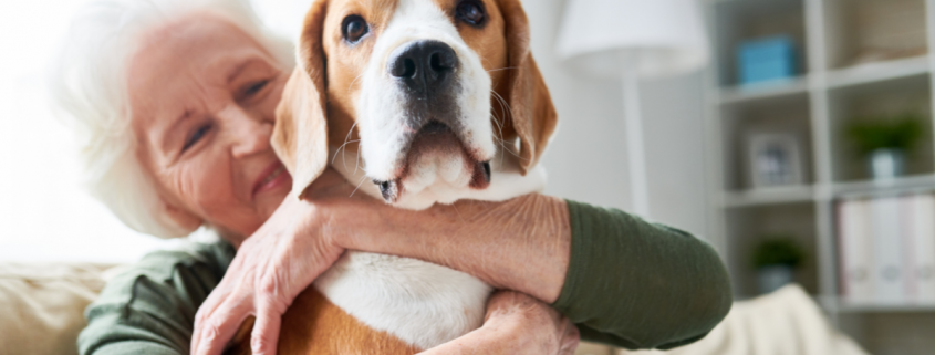 The Power of Pets: How Animal Companionship Benefits Seniors